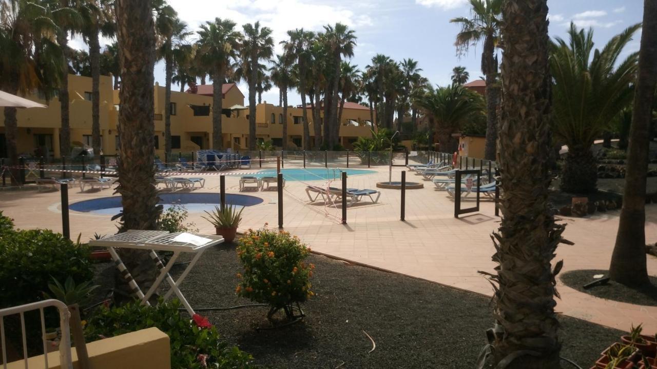 Oasis Royal F217 Διαμέρισμα Κοραλέχο Εξωτερικό φωτογραφία