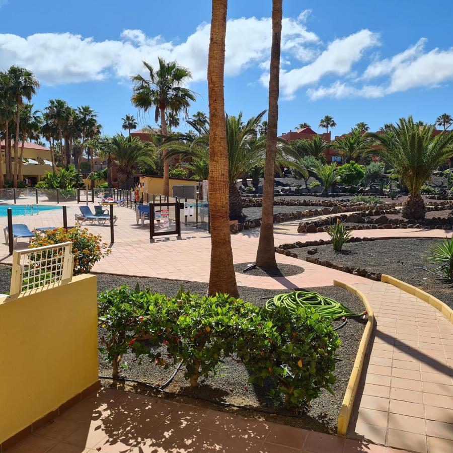 Oasis Royal F217 Διαμέρισμα Κοραλέχο Εξωτερικό φωτογραφία